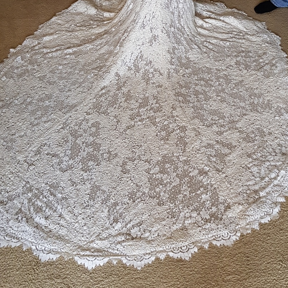 Pronovias Estela Wedding Dress with garment bag - Picture 7 of 8